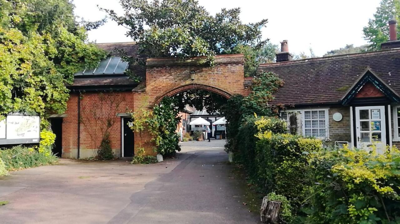Homestay Many Worlds Meet: Spacious Family Near Wimbledon & London *