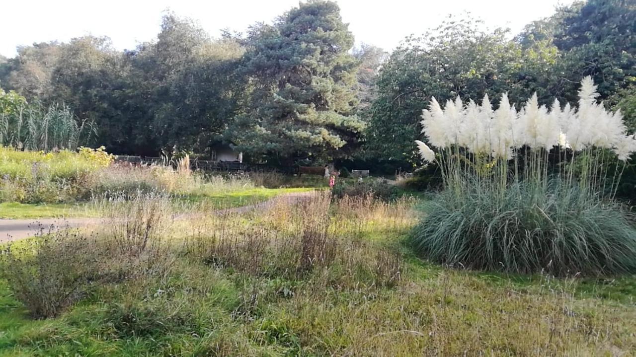 Homestay Many Worlds Meet: Spacious Family Near Wimbledon & London