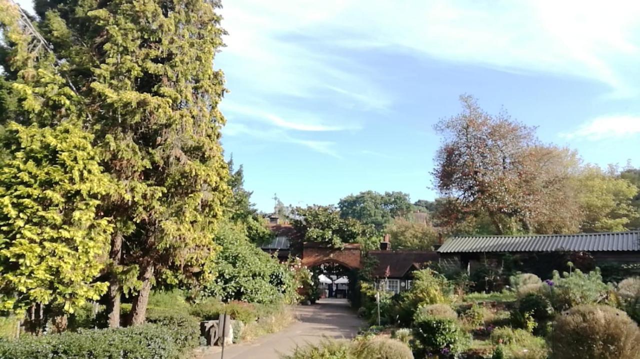 Many Worlds Meet: Spacious Family Near Wimbledon & London * Croydon