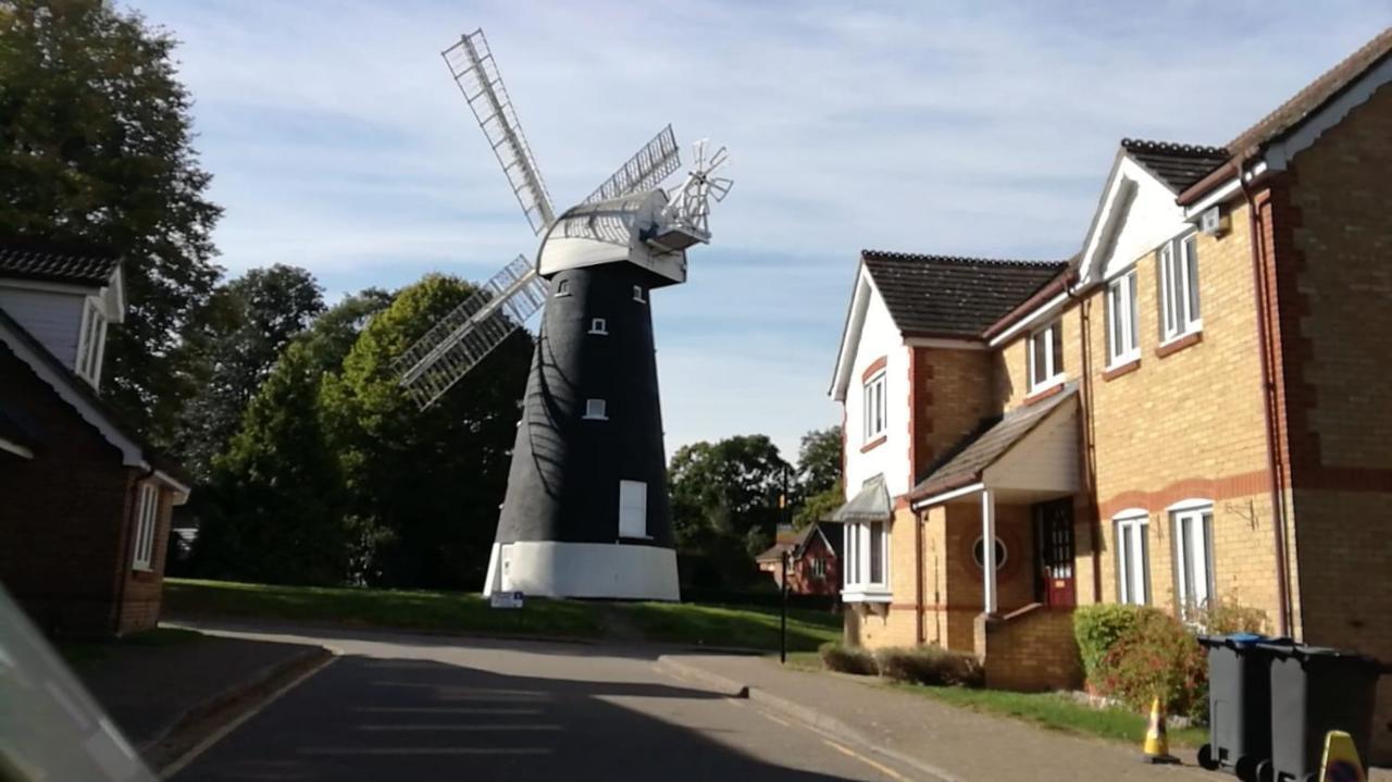 Many Worlds Meet: Spacious Family Near Wimbledon & London Homestay Croydon