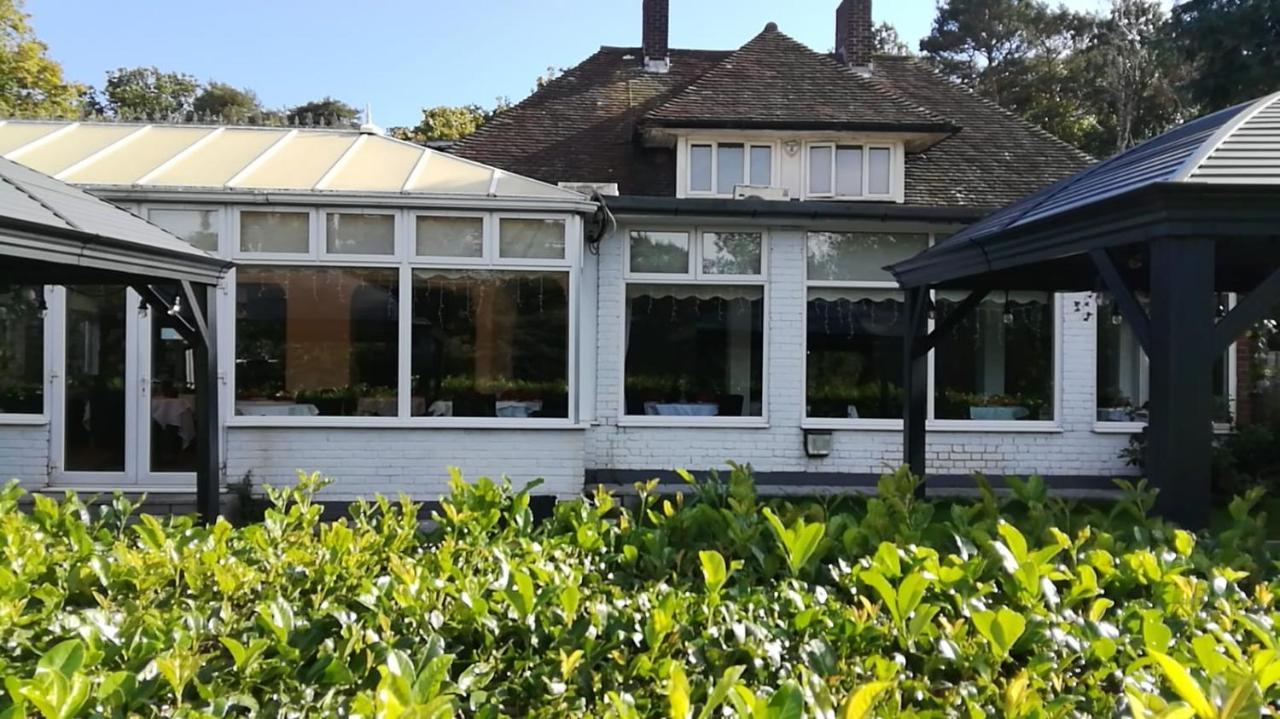 Many Worlds Meet: Spacious Family Near Wimbledon & London Homestay