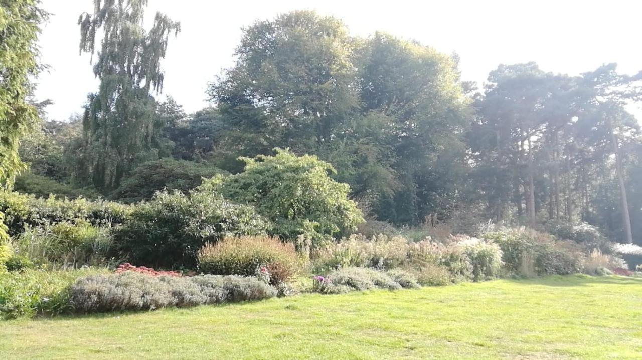 Many Worlds Meet: Spacious Family Near Wimbledon & London