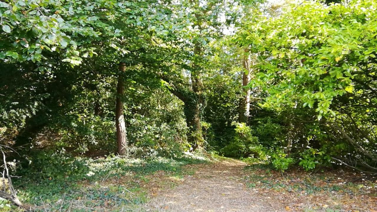 Many Worlds Meet: Spacious Family Near Wimbledon & London * Croydon
