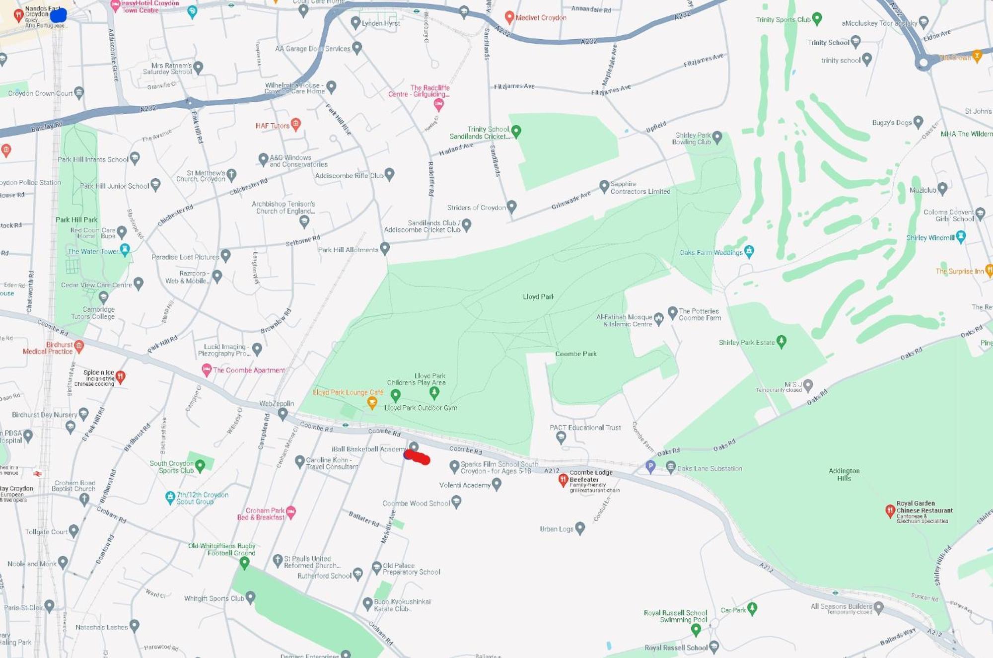 Many Worlds Meet: Spacious Family Near Wimbledon & London Homestay Croydon