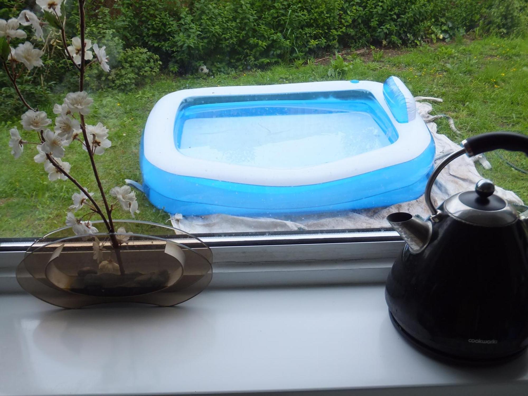 Many Worlds Meet: Spacious Family Near Wimbledon & London Homestay